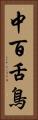 中百舌鳥 Vertical Portrait