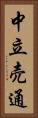 中立売通 Vertical Portrait