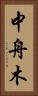 中舟木 Vertical Portrait