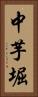中芋堀 Vertical Portrait