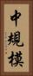 中規模 Vertical Portrait