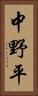 中野平 Vertical Portrait