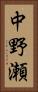 中野瀬 Vertical Portrait