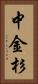 中金杉 Vertical Portrait