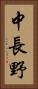 中長野 Vertical Portrait