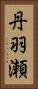 丹羽瀬 Vertical Portrait