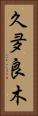 久夛良木 Vertical Portrait