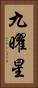 九曜星 Vertical Portrait