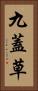 九蓋草 Vertical Portrait