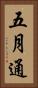 五月通 Vertical Portrait