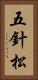 五針松 Vertical Portrait