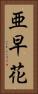 亜早花 Vertical Portrait