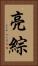 亮綜 Vertical Portrait