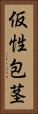 仮性包茎 Vertical Portrait