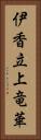 伊香立上竜華 Vertical Portrait