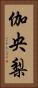伽央梨 Vertical Portrait