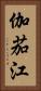 伽茄江 Vertical Portrait