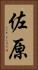 佐原 Vertical Portrait