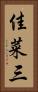 佳菜三 Vertical Portrait