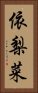 依梨菜 Vertical Portrait