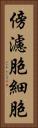 傍濾胞細胞 Vertical Portrait