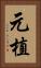 元植 Vertical Portrait