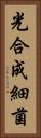 光合成細菌 Vertical Portrait