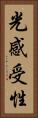 光感受性 Vertical Portrait