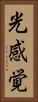 光感覚 Vertical Portrait