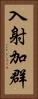 入射加群 Vertical Portrait