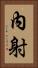 內射 Vertical Portrait
