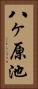 八ヶ原池 Vertical Portrait