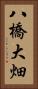 八橋大畑 Vertical Portrait
