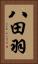 八田羽 Vertical Portrait