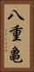 八重亀 Vertical Portrait