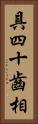 具四十齒相 Vertical Portrait