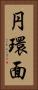円環面 Vertical Portrait