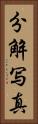 分解写真 Vertical Portrait