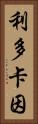 利多卡因 Vertical Portrait
