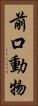 前口動物 Vertical Portrait