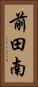 前田南 Vertical Portrait