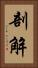 剖解 Vertical Portrait