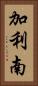 加利南 Vertical Portrait
