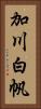 加川白帆 Vertical Portrait