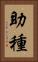 助種 Vertical Portrait