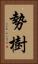勢樹 Vertical Portrait