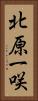 北原一咲 Vertical Portrait
