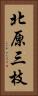 北原三枝 Vertical Portrait