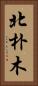 北朴木 Vertical Portrait