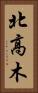 北高木 Vertical Portrait